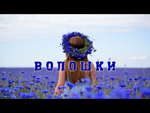 Видео: Волошки - LuckyUAMusic