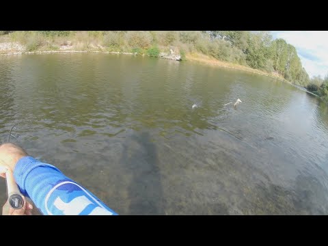 Видео: Първи риболов с 365 Trout EVO