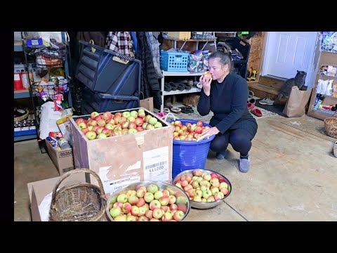 Видео: И ЧТО МНЕ С НИМИ ДЕЛАТЬ? 