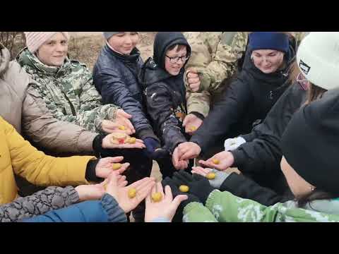 Видео: Картошка на Каринских островах