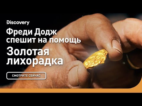Видео: Фредди Додж спешит на помощь | Золотая лихорадка | Discovery
