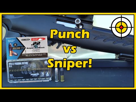 Видео: Неужели Панч только что подстрелили?! .22LR Federal Punch против Aguila Sniper: тест дозвукового ...