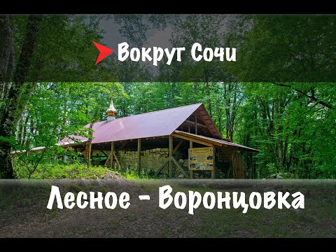 Видео: #26 Галицыно - Лесное - Воронцовка.