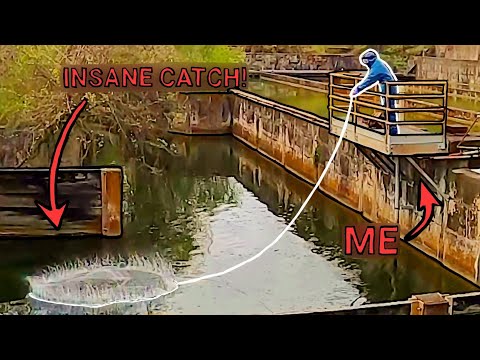 Видео: Что плавает в этой заброшенной канализации??? (Странные результаты кастинга!)