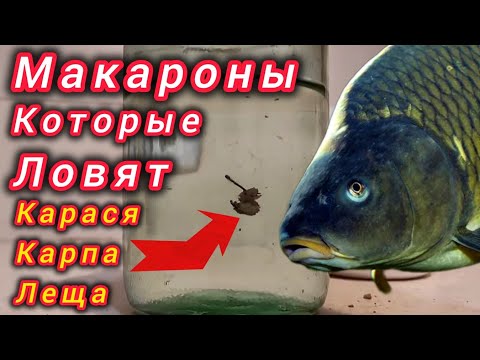 Видео: Макароны для Рыбалки, Карась и КАРПА и даже лещ! Сделай правильно!