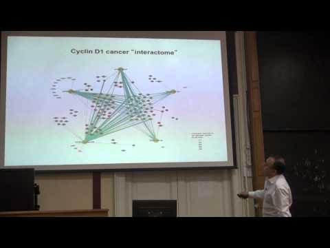 Видео: Лекция 4 | Регуляция клеточного цикла | Peter Sicinski | СПбГУ | Лекториум