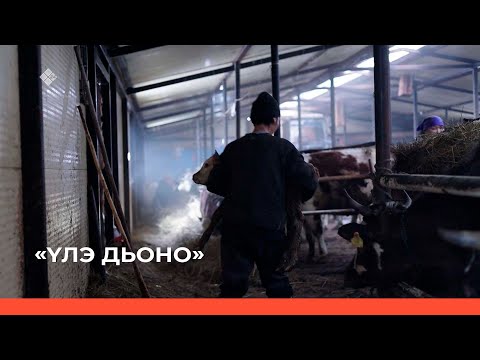 Видео: «Үлэ дьоно» биэриигэ: «Илгэ хотун» кээпэрэтиип туһунан (30.04.23)