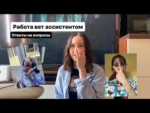 Видео: Работа ассистентом ветеринара. Кто это и что он делает?