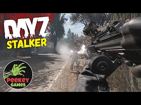 Видео: НА ВСТРЕЧУ ПРИКЛЮЧЕНИЯМ / 3 серия / DAYZ STALKER PVP