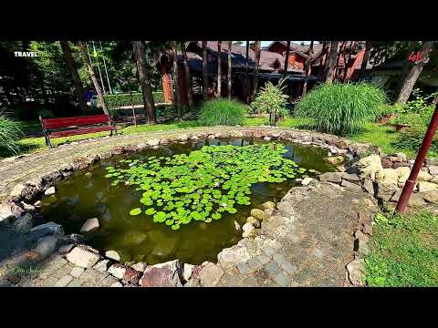 Видео: Урочище "Золота Гора"! 4K