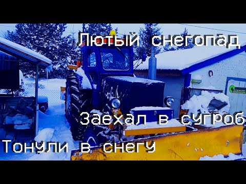 Видео: Чистка снега трактором Т-40 или как воевал со снегом.