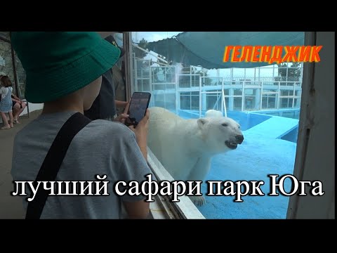 Видео: Он того стоит. Сафари парк. Геленджик