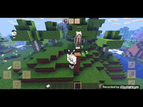 Видео: 31 октября 2021 г.