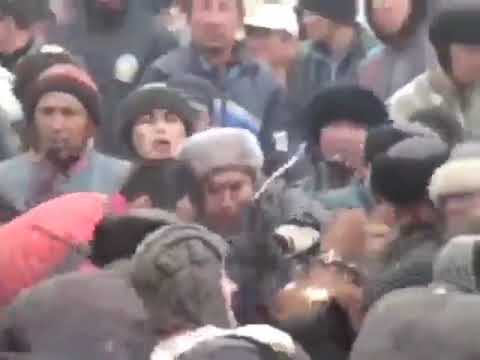 Видео: Кошкар палуан 17 огыз🐂 1туие🐫 салган кезы Бекболат  кокесынын атымен. Каналга тиркелип кетиниздер🥰