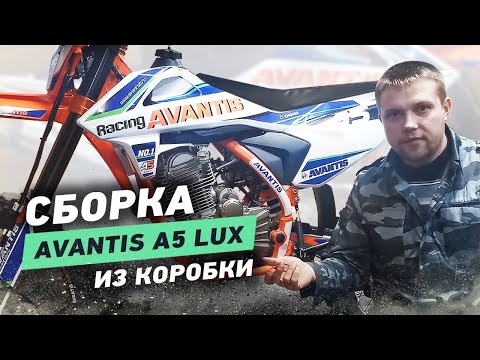 Видео: Сборка Avantis A5 Lux из коробки