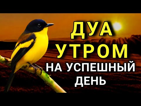Видео: ☝️ ДУА УТРОМ САМЫЙ МОЩНЫЙ СТАРТ ДНЯ! 🤲🔑✨💯