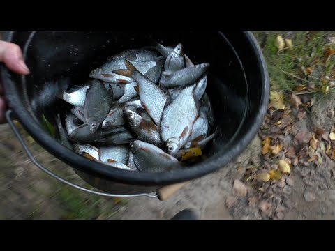Видео: ПЕРВАЯ РЫБАЛКА В ФЕВРАЛЕ! где вся рыба! Рыбалка на поплавок в феврале ! РЫБАЛКА НА БОКОВОЙ КИВОК!