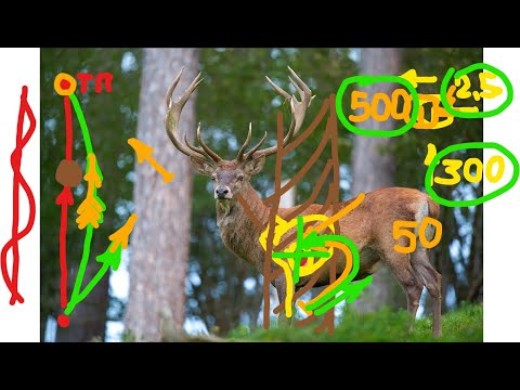 Видео: PRO Arrows - Про стрелы для охоты с луком - Все ответы на все вопросы о стрелах для Bowhunting