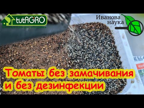 Видео: ПОСЕВ ТОМАТА НА РАССАДУ: без замочек и заморочек. СЕЙТЕ ТОМАТЫ ТОЛЬКО ТАК - РАССАДА ОЧЕНЬ КРЕПКАЯ.