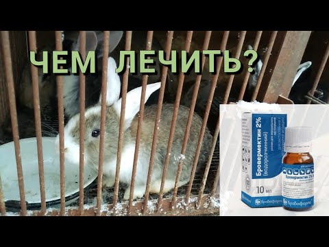 Видео: ПРОФИЛАКТИКА ГЛИСТОВ У КРОЛИКОВ. БРОВЕРМЕКТИН 2%. ДЕГЕЛЬМИНТИЗАЦИЯ