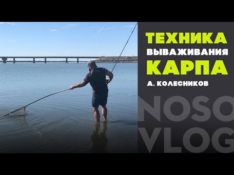 Видео: Техника вываживания карпа, А. Колесников, мастер-класс