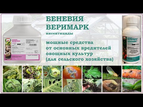 Видео: Беневия и Веримарк - мощные системные средства против вредителей овощных культур. Обзор инсектицидов