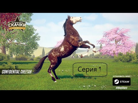 Видео: Rival Stars Horse Racing #прохождение #серия1