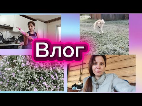 Видео: Влог • Мотивация на уборку • Красивая осень • Грандиозные планы 🍁🍁🍁