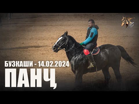 Видео: Бузкаши 14.02.2024 н.Панч