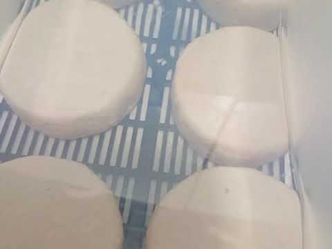 Видео: Обзор🫣