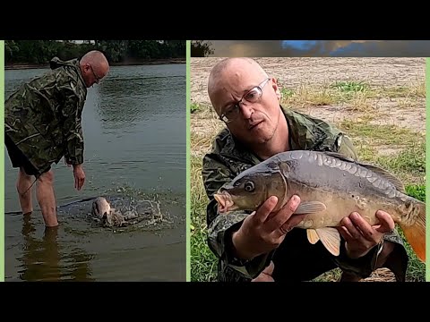 Видео: ФЛЭТ ФИДЕР!!! РЫБАЛКА НА КАРПА !! ОБЫЧНЫЙ ПЛАТНИК