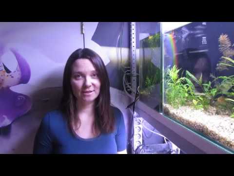 Видео: PS... про ихтик и не только