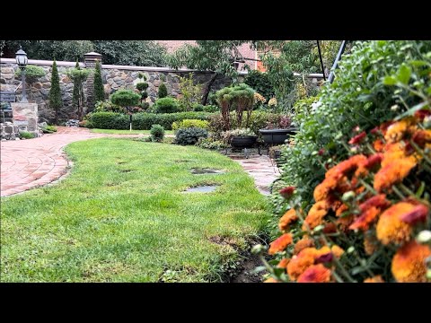 Видео: ТРЕТЬЯ ФОРМИРУЮЩАЯ СТРИЖКА ТУИ ЗАПАДНОЙ “TEDDY”! ВЕСЬ ПРОЦЕСС! ЧТО В ИТОГЕ ПОЛУЧИЛОСЬ? #thuja