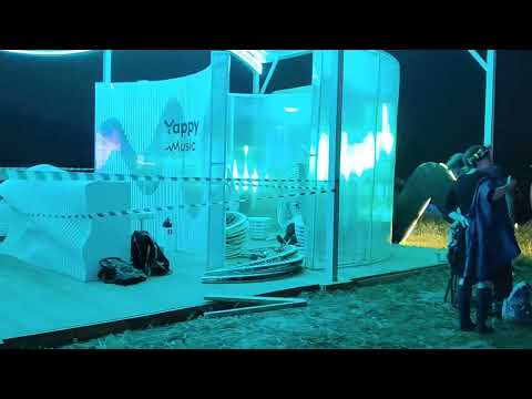 Видео: дикая мята 2024. ночь.