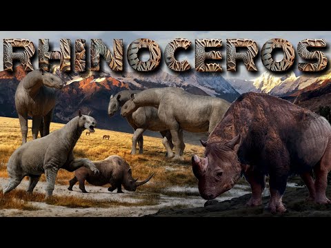Видео: Эволюция НОСОРОГА