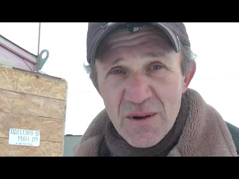 Видео: 1.ч.🔥Голуби в гостях у Алика. Б🔥 общение и диалог🔥 15.01.2024.г. самое интересное впереди не пропуст