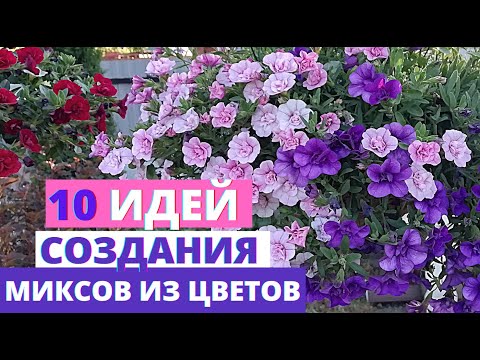 Видео: 10 идей создания ЦВЕТОЧНЫХ КОМПОЗИЦИЙ в кашпо