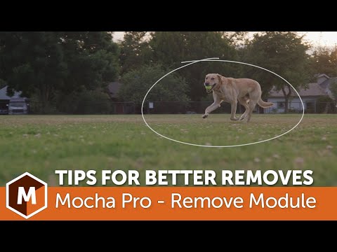 Видео: Mocha Pro: советы по более быстрому и качественному удалению предметов