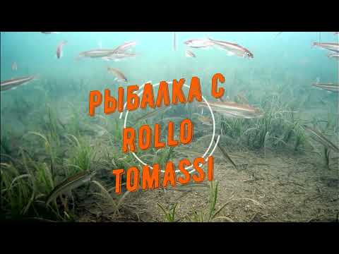 Видео: Ловля корюшки в Миноноске