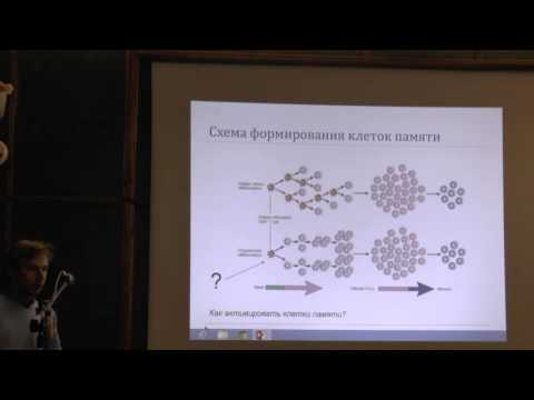 Видео: 28.05.13| Ткачук А.П.| Современные представления об эффективной иммунопрофилактике