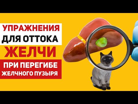 Видео: Упражнения для оттока желчи при перегибе желчного пузыря: специальный комплекс