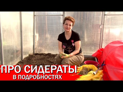 Видео: Про Сидераты в подробностях