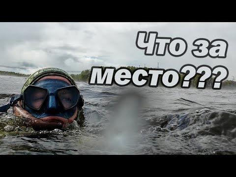 Видео: ИХ ДАЖЕ МОЖНО ЛОВИТЬ РУКАМИ!! ОХОТА В ЗАПРЕТ!!!