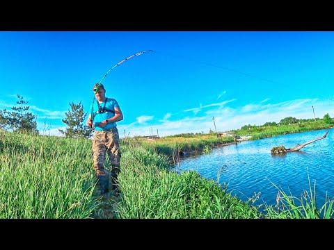 Видео: НА ДЕШМАНСКИЙ СИЛИКОН!!! ПОКЛЕВКИ НА КАЖДОМ ЗАБРОСЕ. Ловля окуня на отводной поводок.