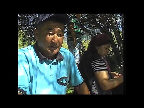 Видео: Қарасаз  2022