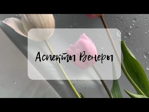 Видео: Аспекты: Венера-Плутон