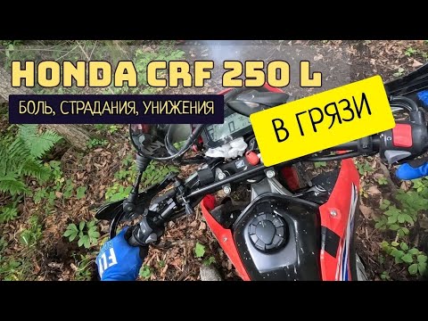 Видео: HONDA CRF 250 L реальность в бездорожье. Розовые очки - до свидания 🤦‍♂️