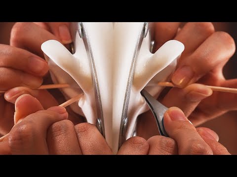 Видео: ASMR Коллекция Уборки Ушей, Которая Никогда Не Надоест