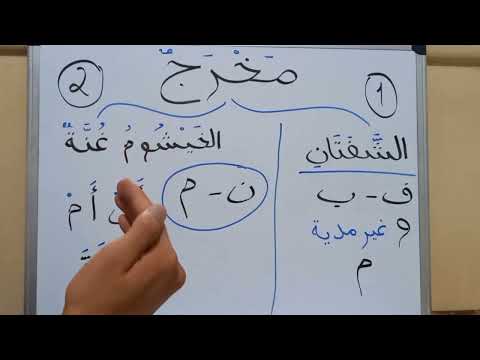 Видео: 11 августа 2022 г.