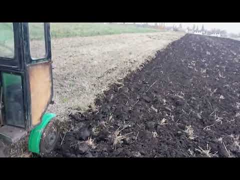 Видео: 31 жовтня 2023 р.